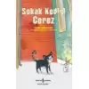 Sokak Kedisi Çerez