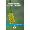 Sweet Clover: Growing the Crop