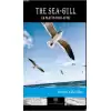 The Sea-Gull