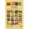 Turşu Turşuluk Sebzelerin Yetiştiriciliği, Turşu Çeşitleri ve Yöresel Tarifler