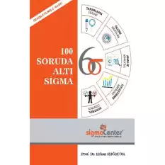 100 Soruda Altı Sigma