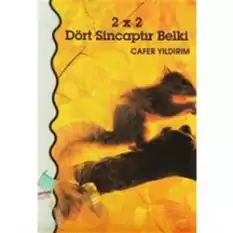 2 x 2 Dört Sincaptır Belki