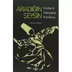 Aradığın Şeysin