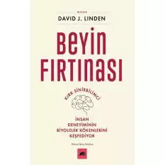 Beyin Fırtınası