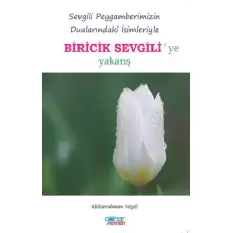 Biricik Sevgiliye Yakarış