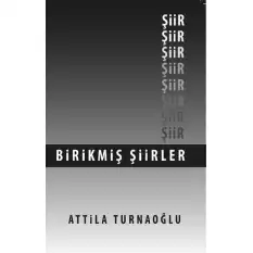 Birikmiş Şiirler