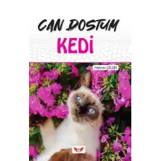 Can Dostum Kedi