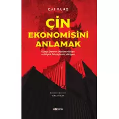 Çin Ekonomisini Anlamak