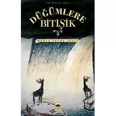 Düğümlere Bitişik