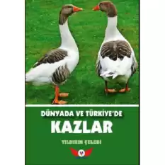 Dünyada Ve Türkiye’de Kazlar