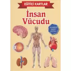 Eğitici Kartlar İnsan Vücudu