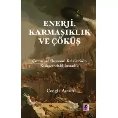 Enerji, Karmaşıklık ve Çöküş