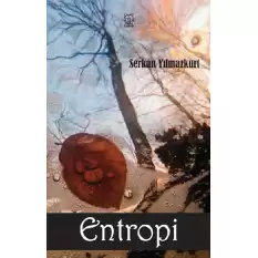 Entropi