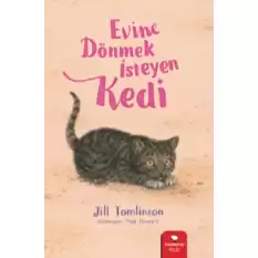 Evine Dönmek İsteyen Kedi