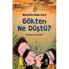 Gökten Ne Düştü?