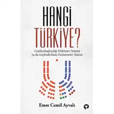 Hangi Türkiye?