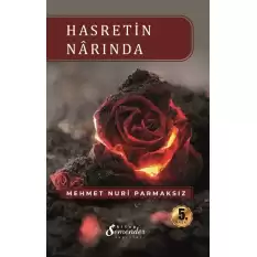 Hasretin Narında