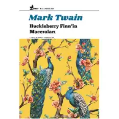 Huckleberry Finnin Maceraları