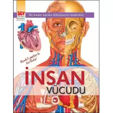 İnsan Vücudu