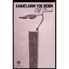 Kanatlarım Yok Benim