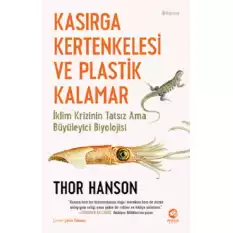 Kasırga Kertenkelesi ve Plastik Kalamar