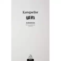 Kategoriler