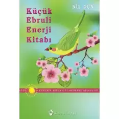 Küçük Ebruli Enerji Kitabı (Ciltli)