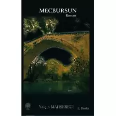 Mecbursun