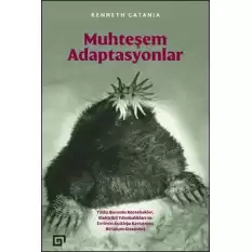 Muhteşem Adaptasyonlar