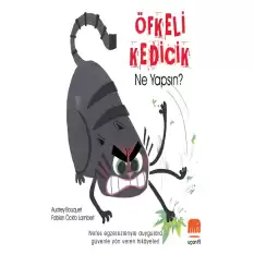 Öfkeli Kedicik Ne Yapsın?