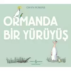 Ormanda Bir Yürüyüş