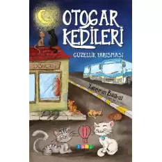 Otogar Kedileri 1 - Güzellik Yarışması