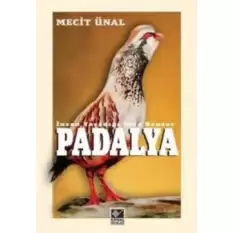 Padalya