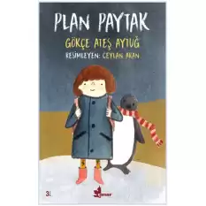 Plan Paytak