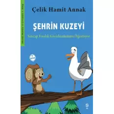 Şehrin Kuzeyi: Sincap Fındık Geri dönüşümü Öğretiyor