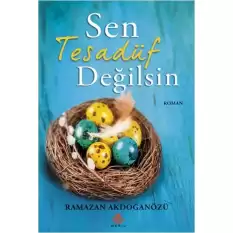 Sen Tesadüf Değilsin