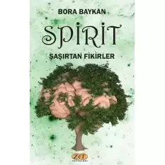 Spirit Şaşırtan Fikirler