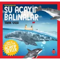 Şu Acayip Balinalar