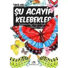 Şu Acayip Kelebekler