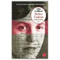 Sylvia Plath Hakkında Bir Roman