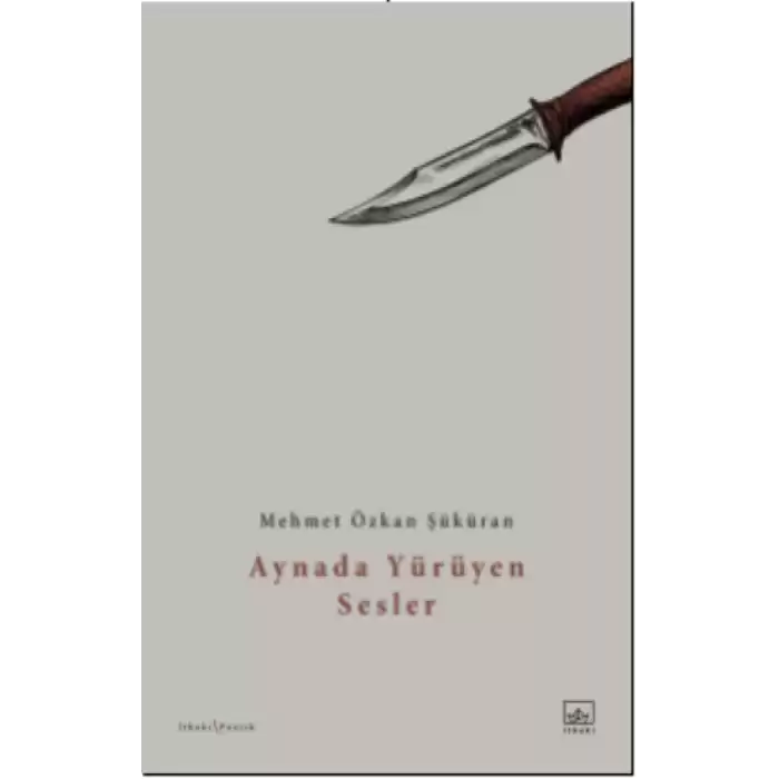 Aynada Yürüyen Sesler