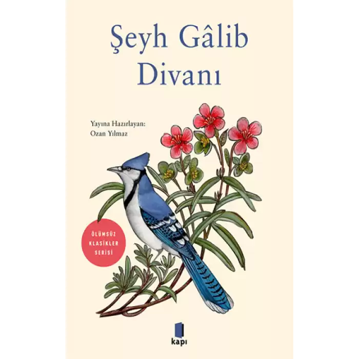 Şeyh Galib  Divanı - Ölümsüz Klasikler