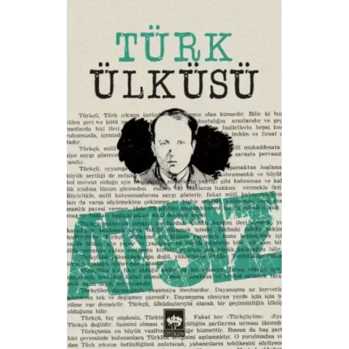 Türk Ülküsü