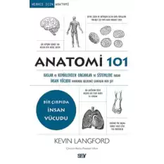 Anatomi 101 - Kaslar ve Kemiklerden Organlar ve Sistemlere kadar İnsan Vücudu Hakkında Bilmeniz Gereken Her Şey