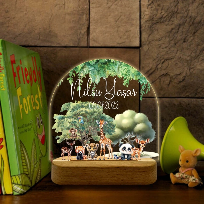 Kişiye Özel Çocuk Hediyesi Gece Lambası, Hayvanat Bahçesi Led Lamba
