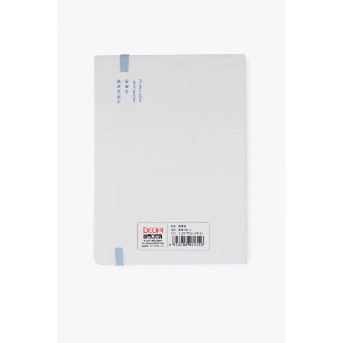 2 Adet Ajanda Çizgili Not Defteri-Uçlu Kalem Hediyeli Mavi Balon