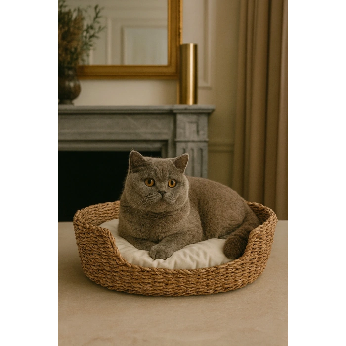 Dekoratif Hasır Kedi Köpek Yatağı Sepet 50cmx40cmx20cm