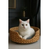 Dekoratif Hasır Kedi Köpek Yatağı Sepet 46x35x36cm