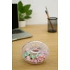 Pastel Renkli Klips Ataş Tutacak İğne Sevimli Set
