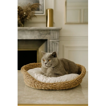 Dekoratif Hasır Kedi Köpek Yatağı Sepet 53cmx40cmx14cm
